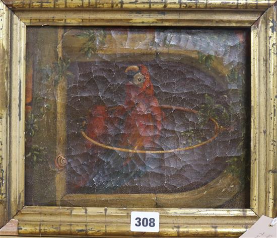 French School, oil on canvas, Study of a parrot in an archway, 25 x 20cm